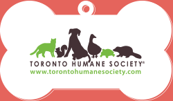 toronto-humane-society