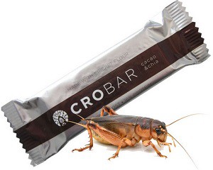 snack-insects-bild