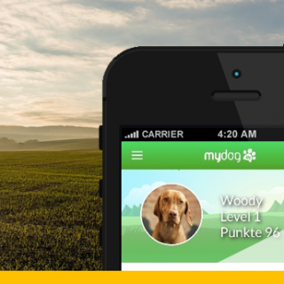 MyDog365 Hundebeschäftigungs-App