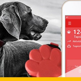 furryfit Hunde-Fitness-Tracker