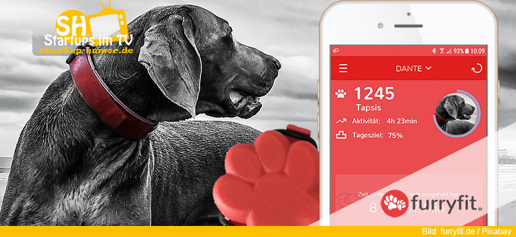furryfit HundeTracker Die Höhle der Löwen StartupHumor