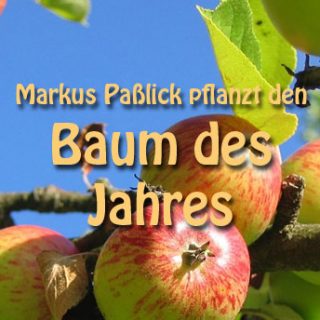 Markus Paßlick pflanzt den Baum des Jahres